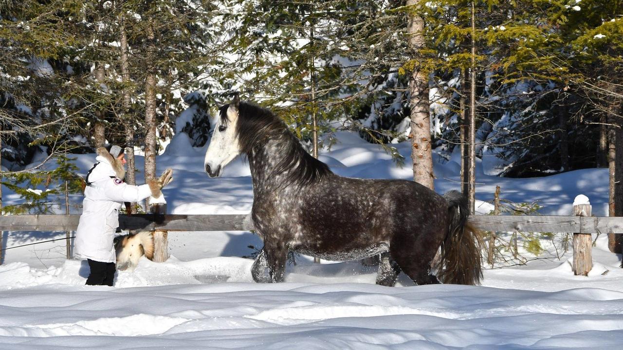 فيلا Le Ti Moose لا مالباي المظهر الخارجي الصورة