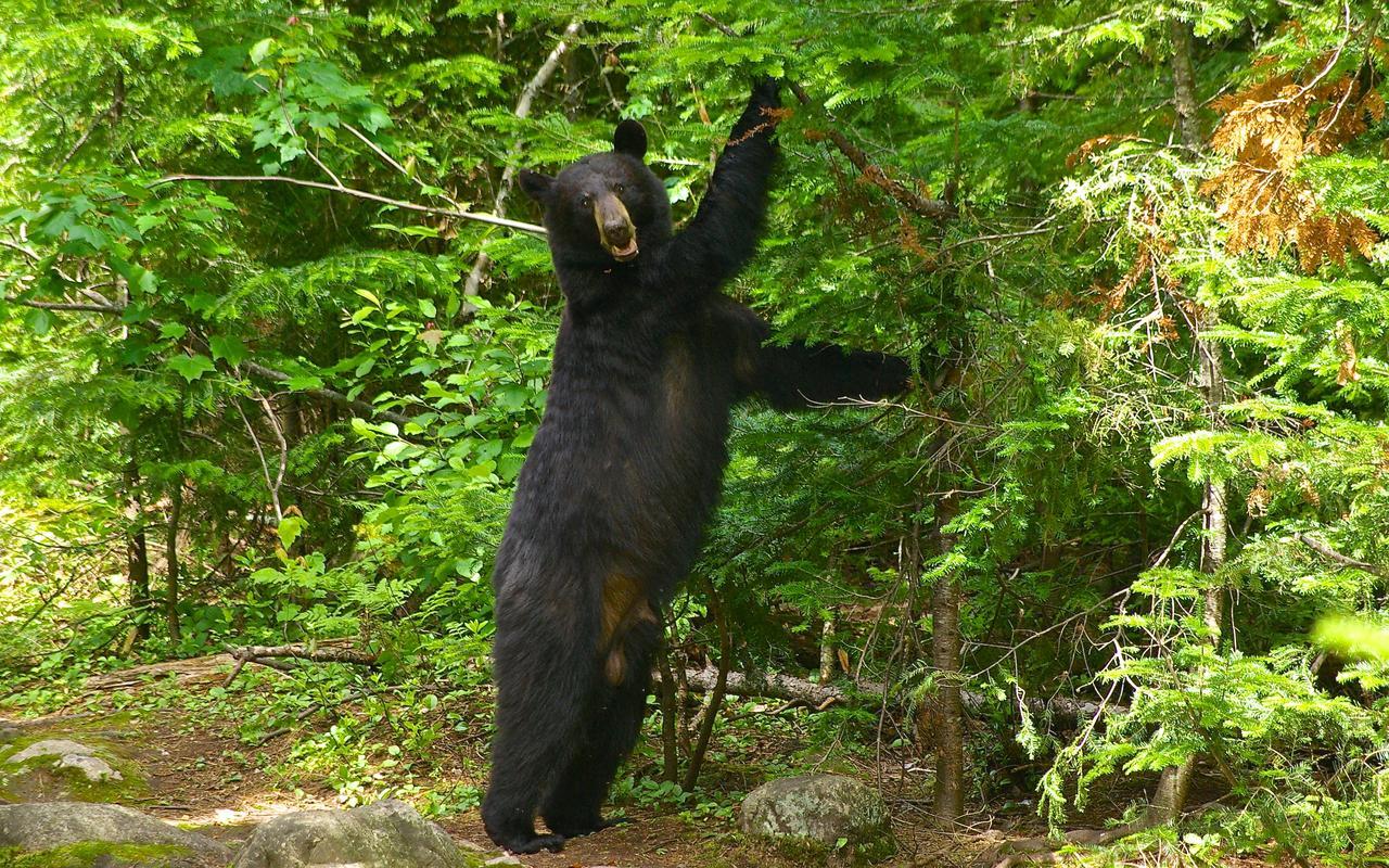 فيلا Le Ti Moose لا مالباي المظهر الخارجي الصورة